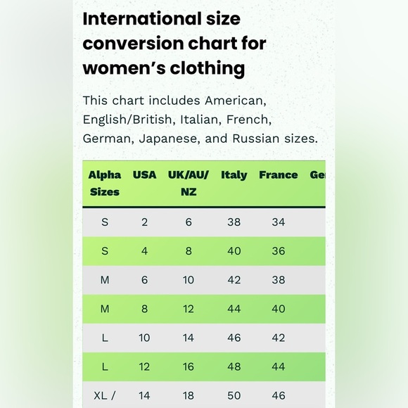 Stella McCartney Long Sleeve Black Lace Dress with Gold Zipper Accents - Picture 9 of 9